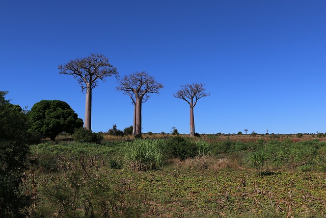 îles